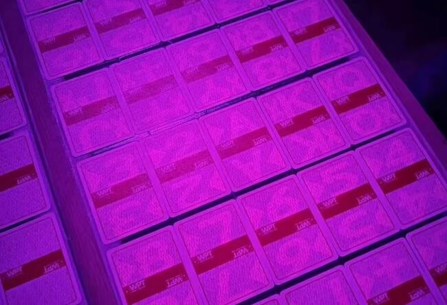 黑料！皮皮湖南麻将确实有挂的(怎么提升胜率)