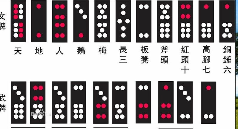 3分钟讲解！分析仪普通牌九,推荐9个购买渠道