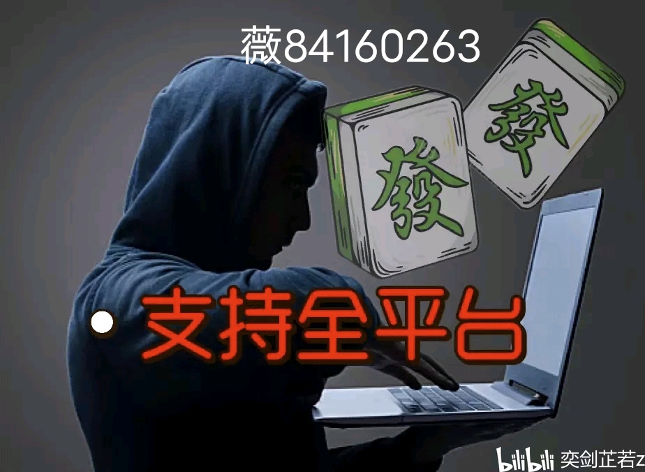 分享决窍“哈灵麻将挂去那买-哔哩哔哩 