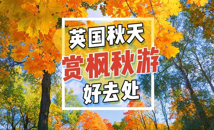 重磅揭秘“秋之枫华究竟有没有挂”确实有挂