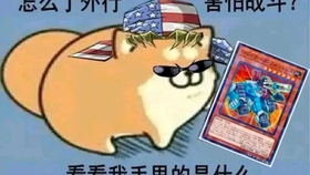 我来教教大家“微乐窝龙怎么才能稳赢”其实确实有挂 