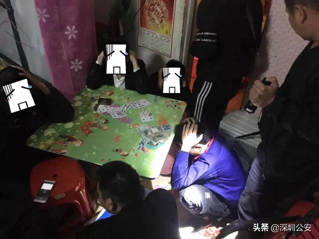 (2分钟介绍)“市面上实用能看见所有牌的眼镜一《我来教教你怎么赢 》