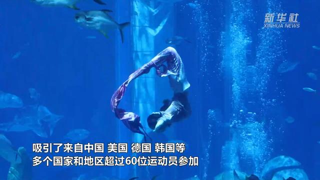玩家必备攻略“鱼儿机破解打美人鱼就死的方法—详细解说+新浪科技