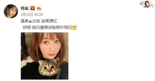 小猪对对碰原来真的有挂呢(确实是有挂)