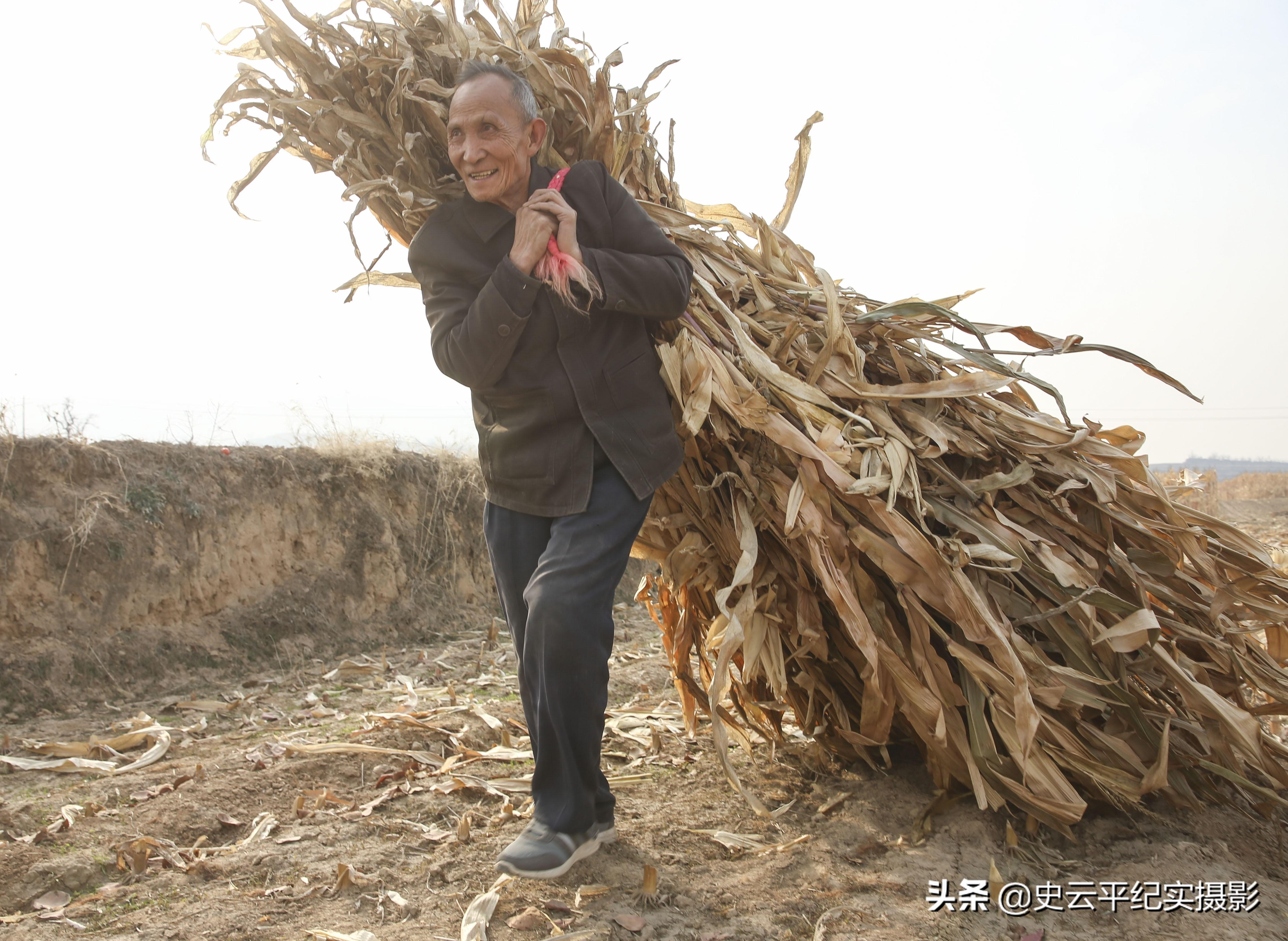 教程辅助“玉米猜1234仪器《详细教程 新浪科技》