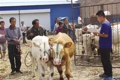教程辅助“玉米猜1234仪器《详细教程 新浪科技》