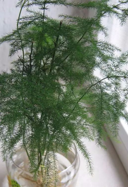 三分钟了解天涯麻将到底是不是有挂(有挂技巧辅助器)
