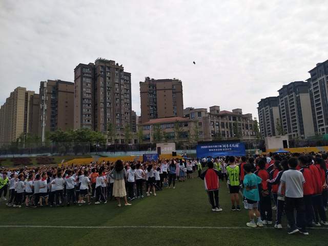 新教你‘‘科普什么仪器可以毛巾《新浪科技 讲解窍门》